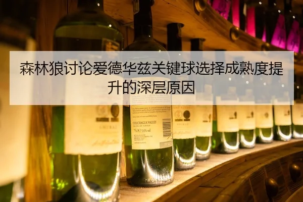 森林狼讨论爱德华兹关键球选择成熟度提升的深层原因