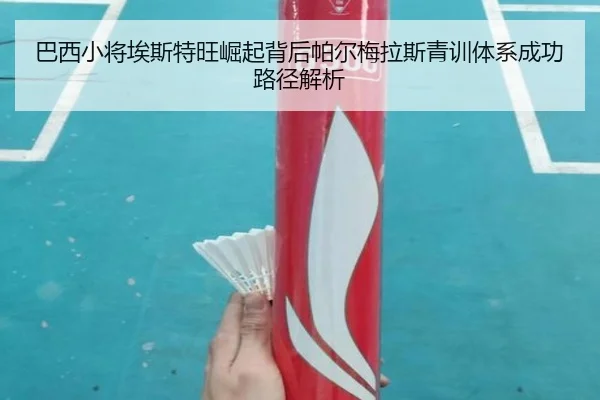 巴西小将埃斯特旺崛起背后帕尔梅拉斯青训体系成功路径解析